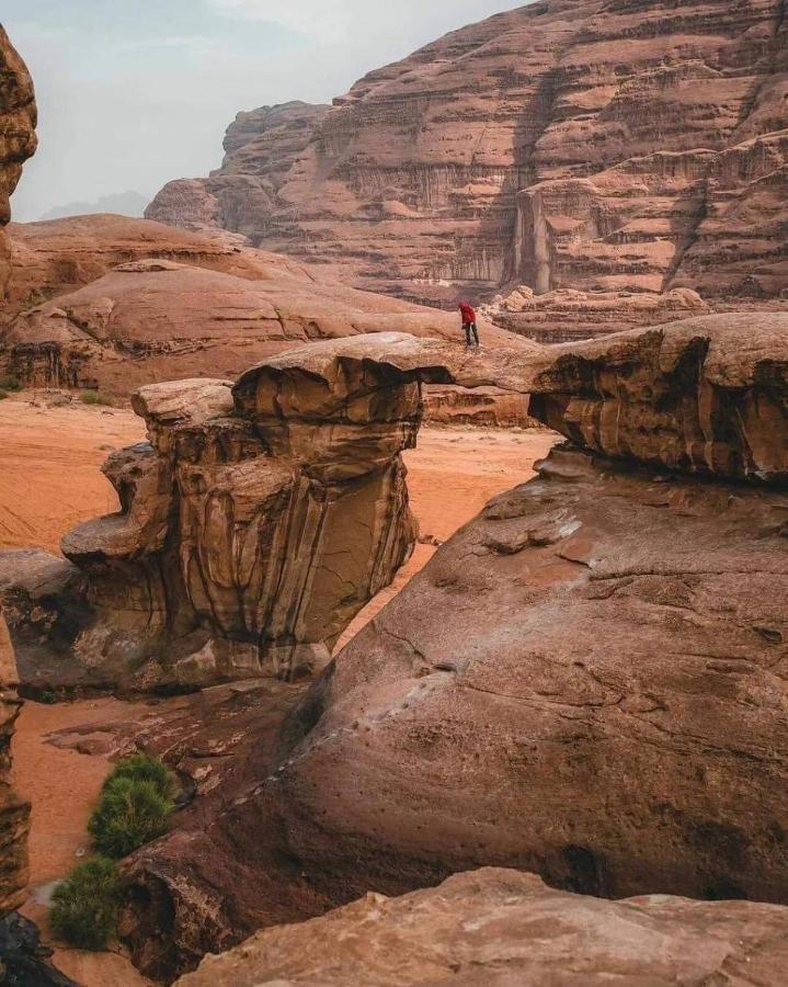 Sama Wadi Rum Exteriér fotografie